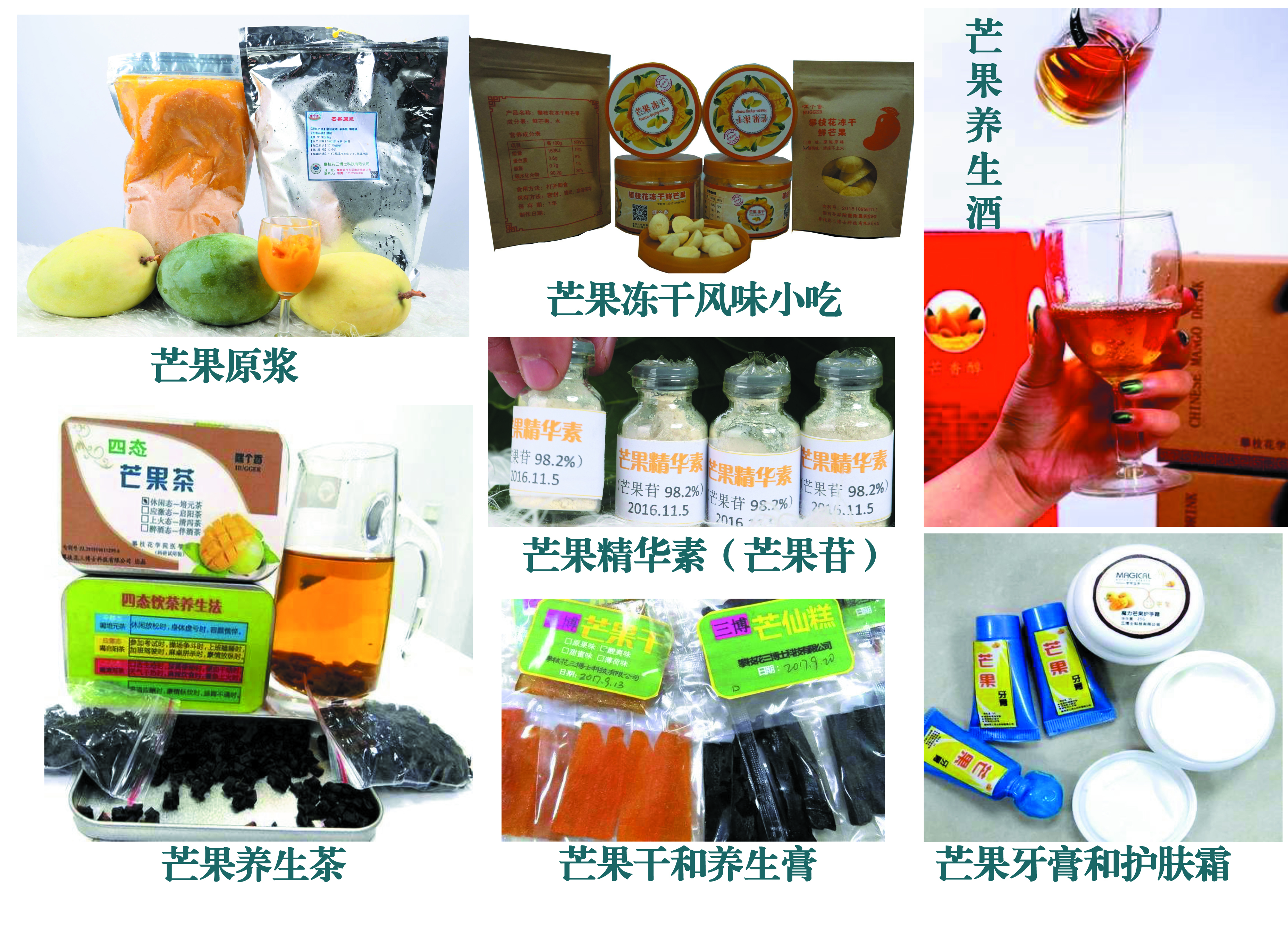 三博士公司开展芒果系列产品产业化